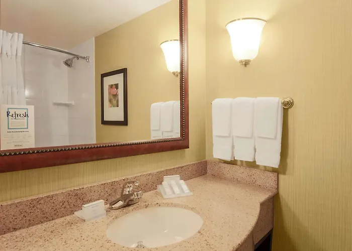 Hotel Hilton Garden Chicago/midway Airport Bedford Park